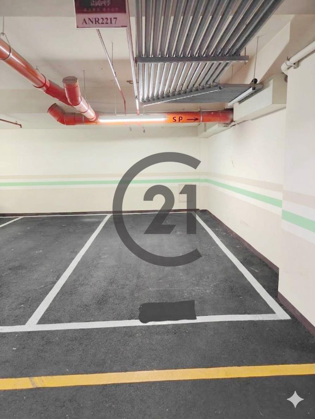 林口明星學區四房車-D25