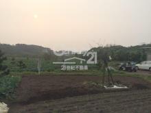 天元宮絕美農地