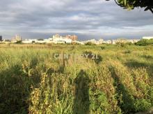 專約蘆竹都市計畫農地