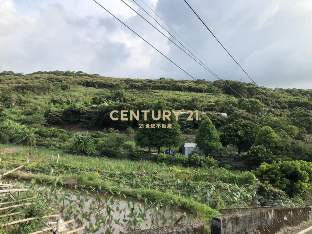 中泰農地(一)