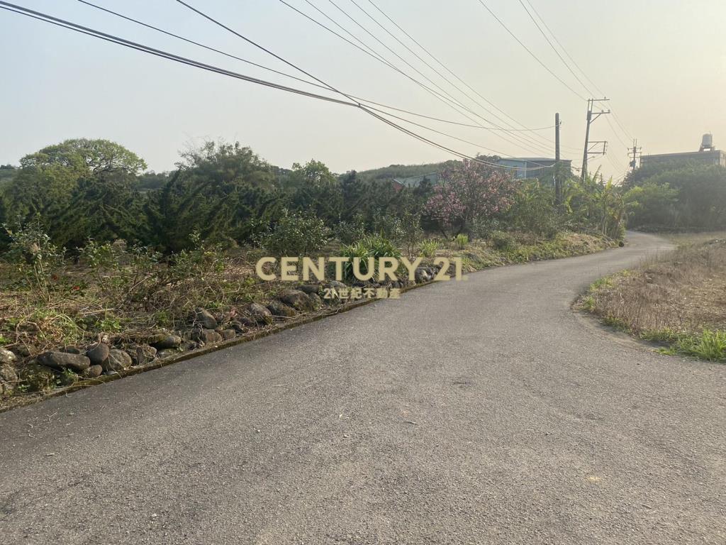 屯山夢想家美地