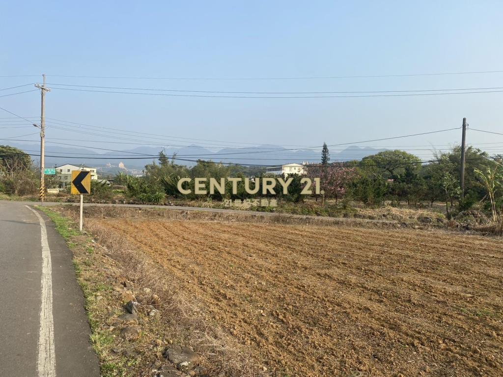 屯山夢想家美地