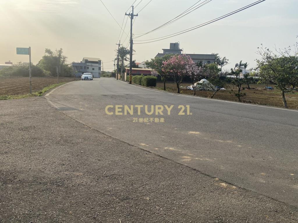 屯山夢想家美地