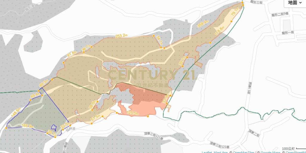龍源.龍形.龍米持分地便宜賣