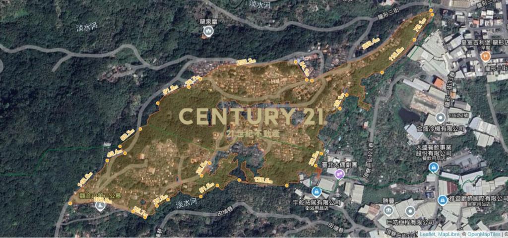 龍源.龍形.龍米持分地便宜賣