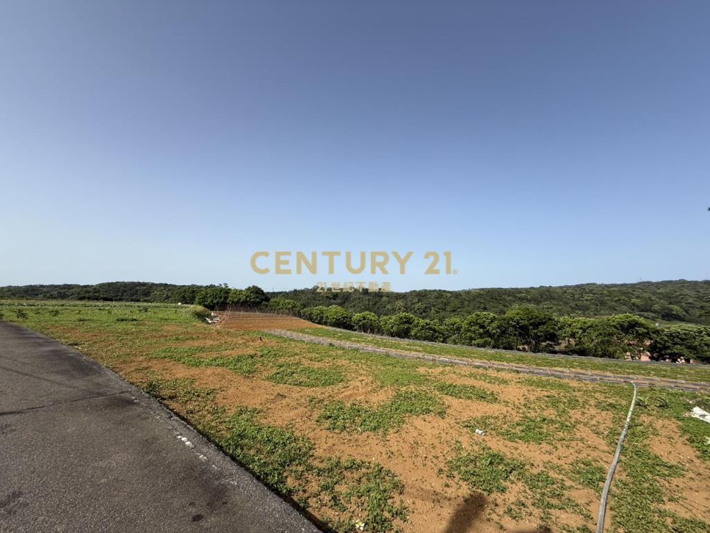 三生櫻花梯田美地