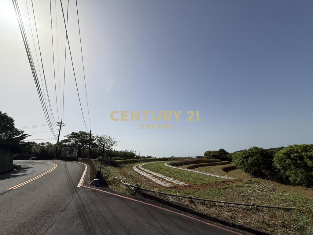 三生櫻花梯田美地