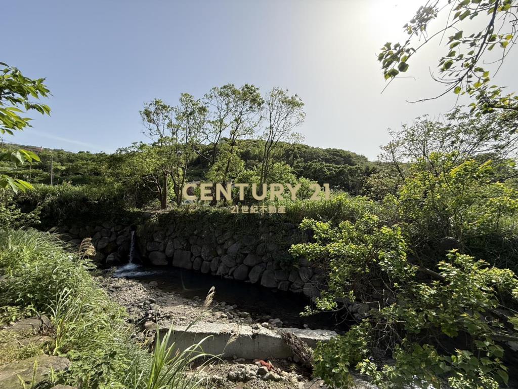 三生櫻花梯田美地