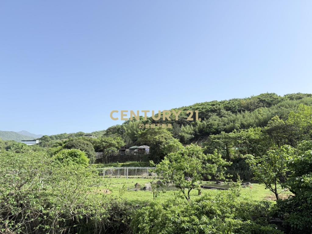 三生櫻花梯田美地