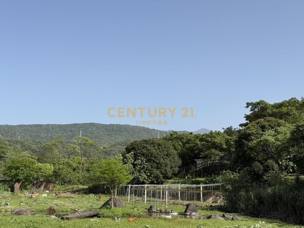 三生櫻花梯田美地