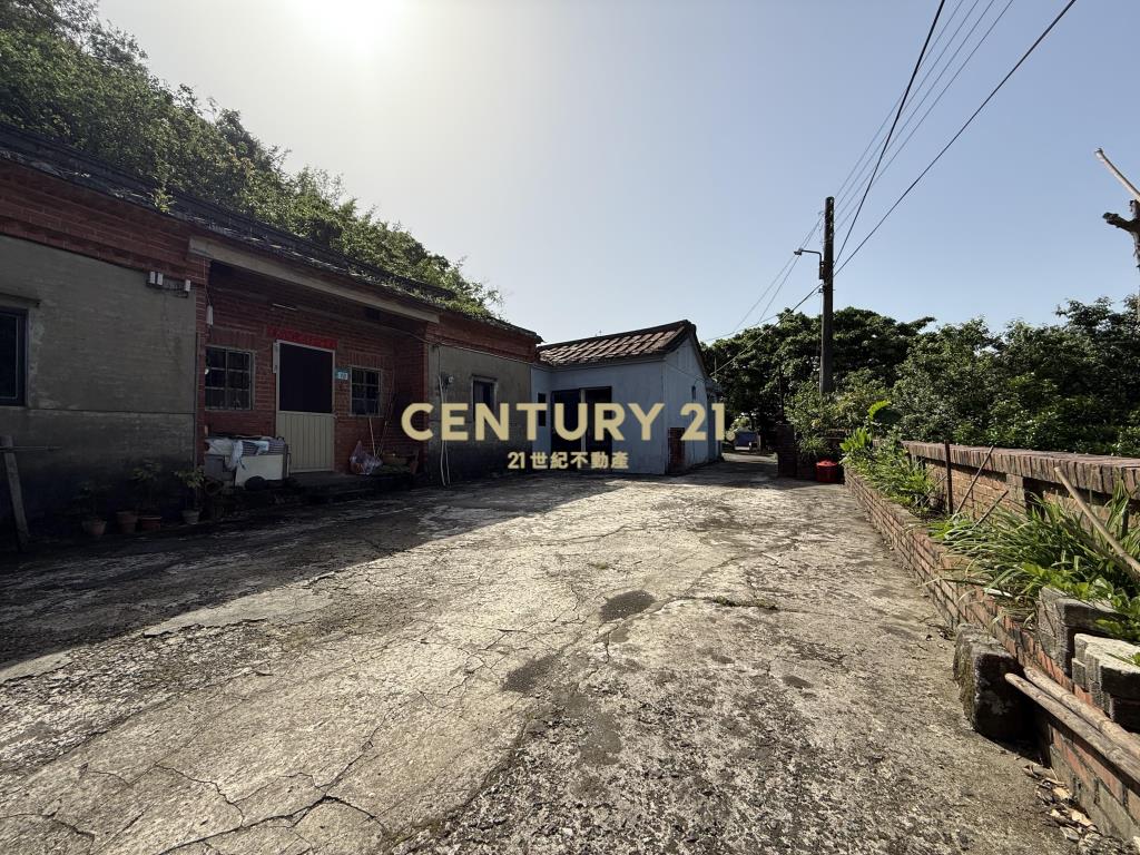 三生櫻花梯田美地