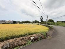 屯山優沃美地