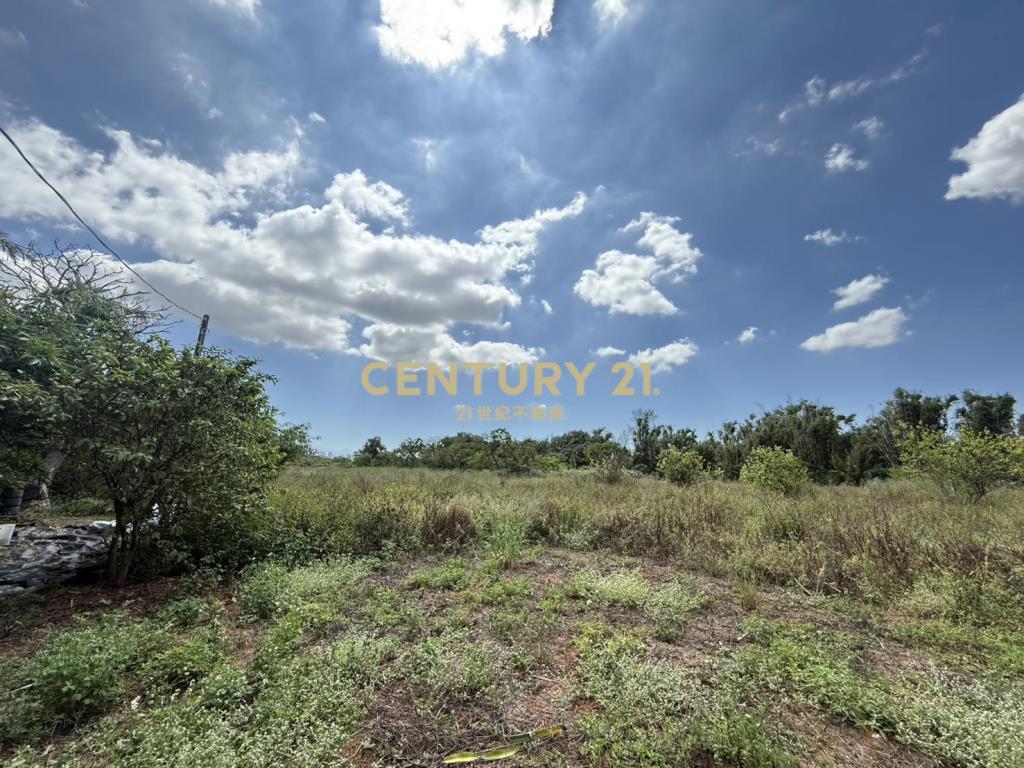 大園有水電平坦農地