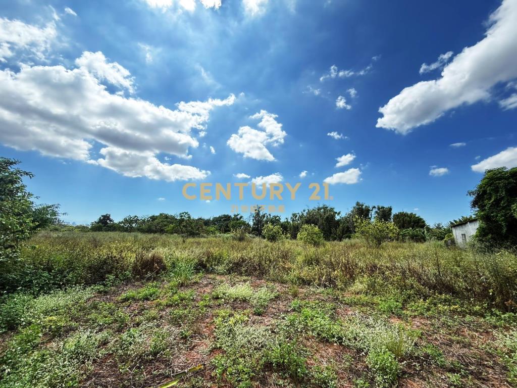 大園有水電平坦農地