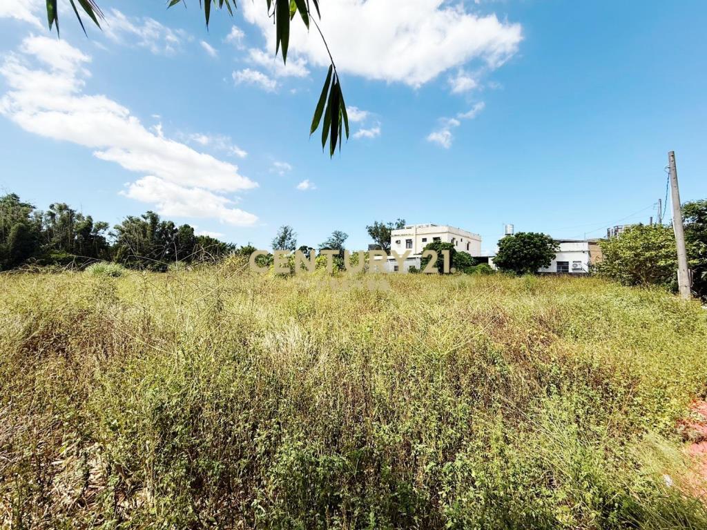 大園有水電平坦農地