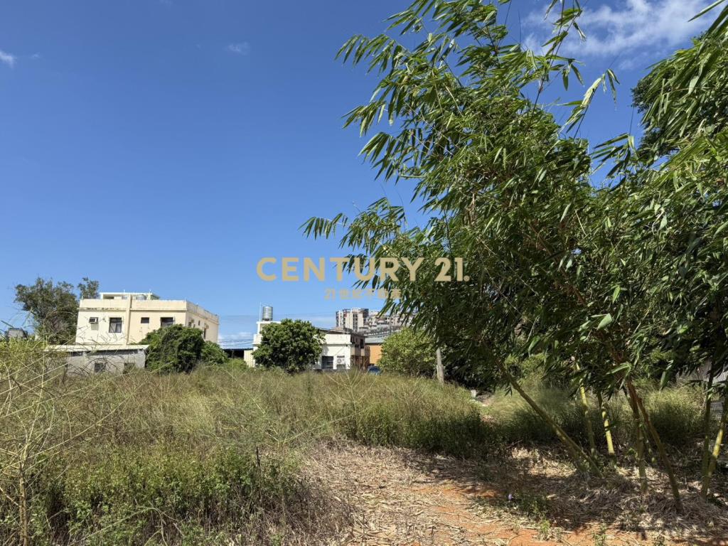 大園有水電平坦農地