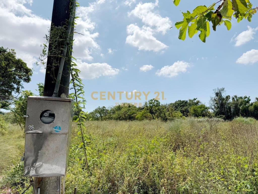 大園有水電平坦農地
