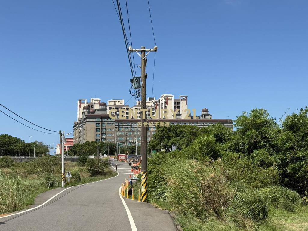 大園有水電平坦農地