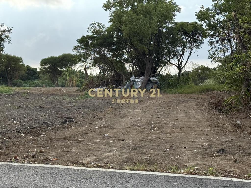 三芝都市計劃平坦農地