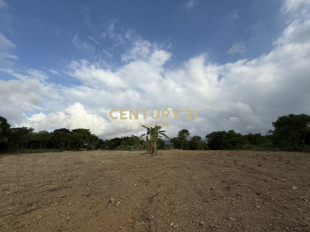 三芝都市計劃平坦農地