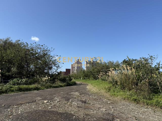 鑽石臨路持分地