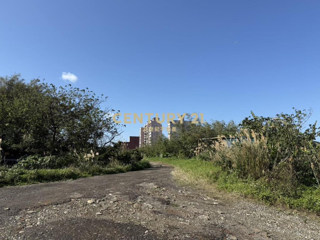 鑽石臨路持分地