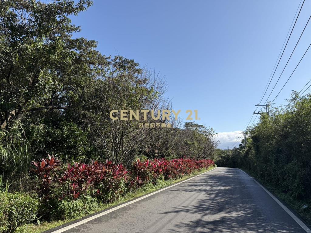 鑽石臨路持分地