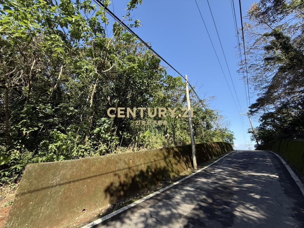 鑽石臨路持分地