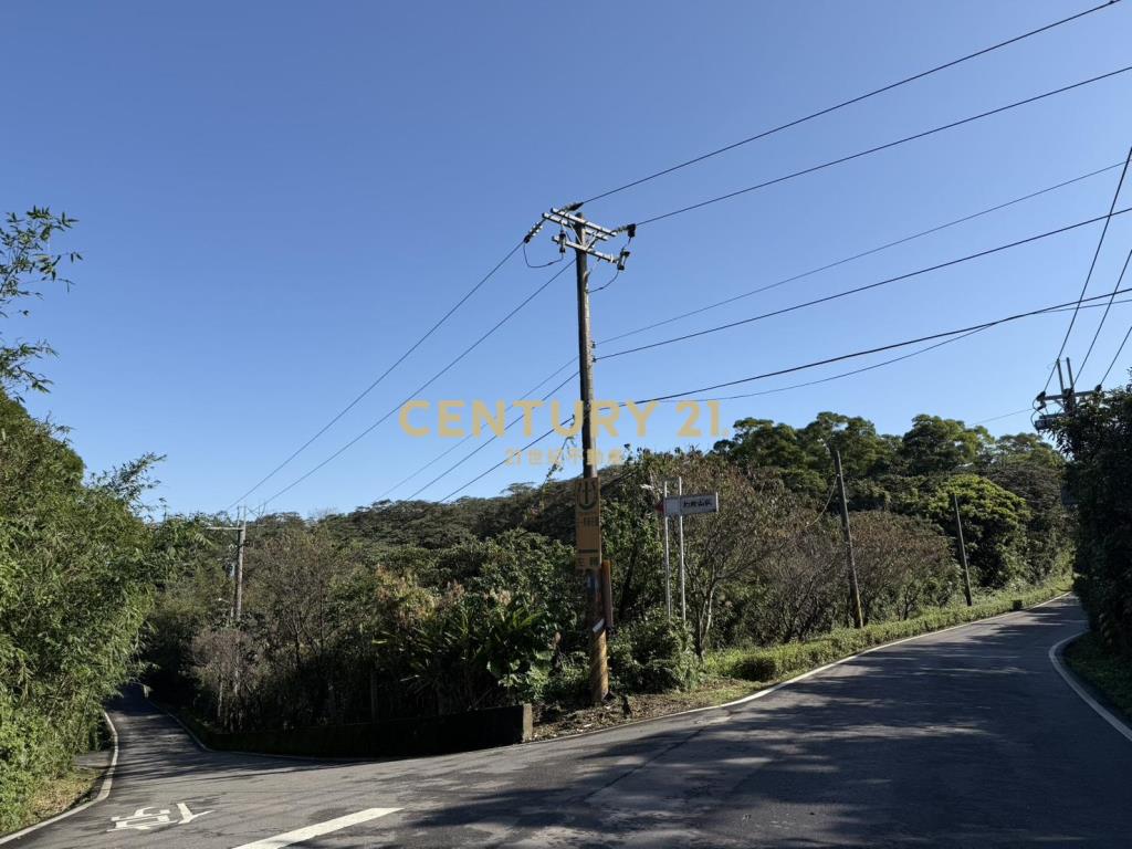 鑽石臨路持分地