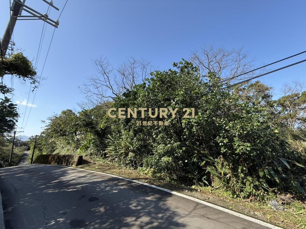 鑽石臨路持分地