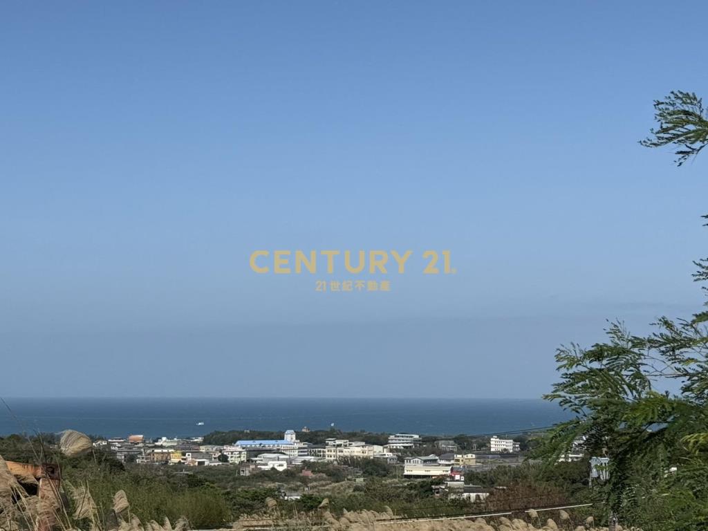 鑽石臨路持分地