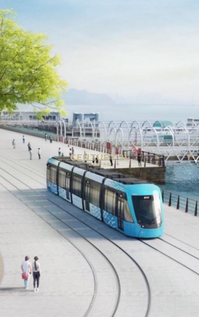 傳家老街金透天