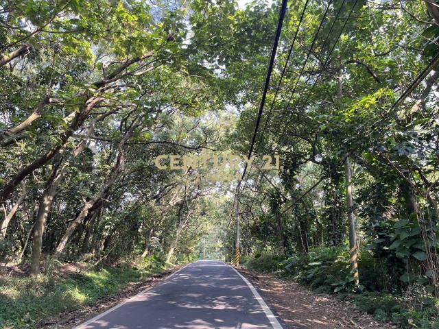 淡水學府核心潛力地(二期二)