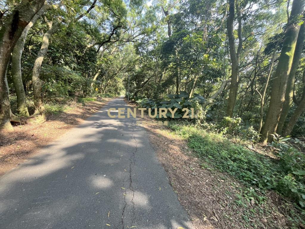 淡水學府核心潛力地(二期二)