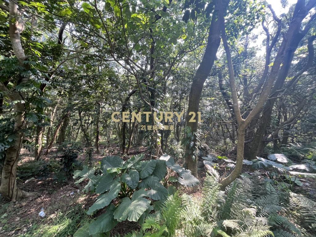 淡水學府核心潛力地(二期二)