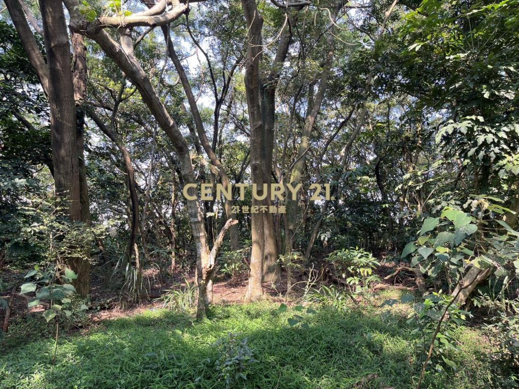 淡水學府核心潛力地(二期二)