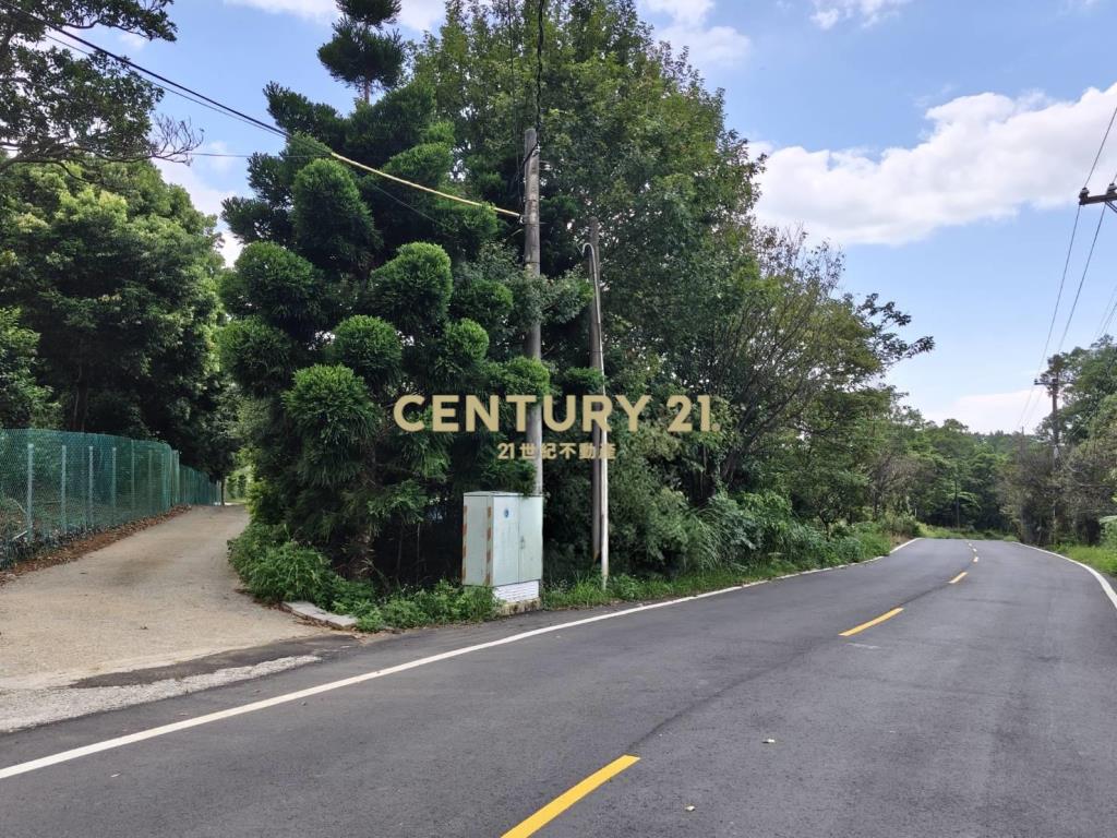 圓山頂櫻花大道美農地