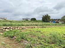 屯山漂亮農地