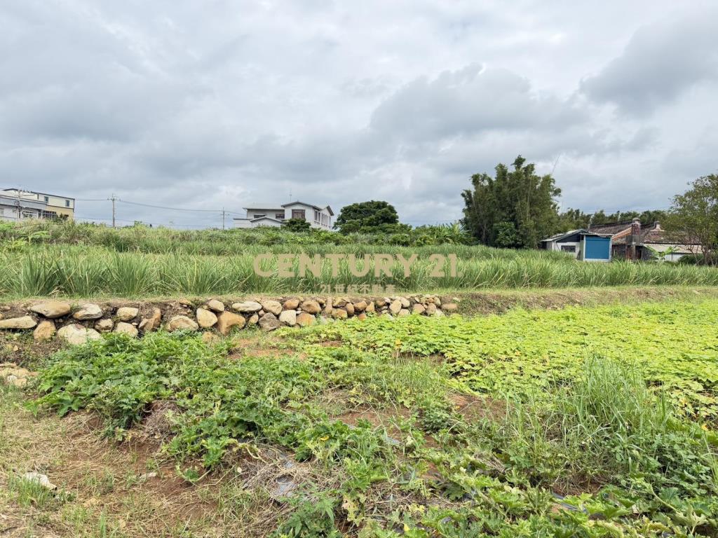 屯山漂亮農地