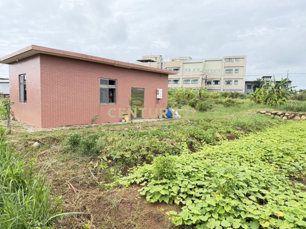 屯山漂亮農地