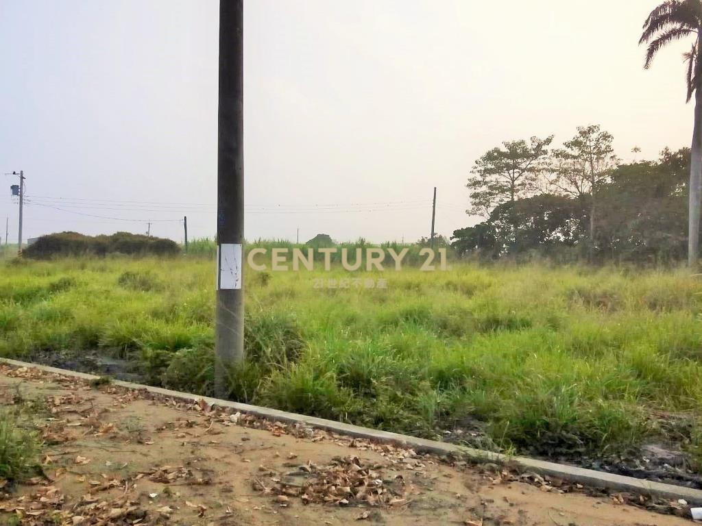 雲林虎尾廉使段768農地