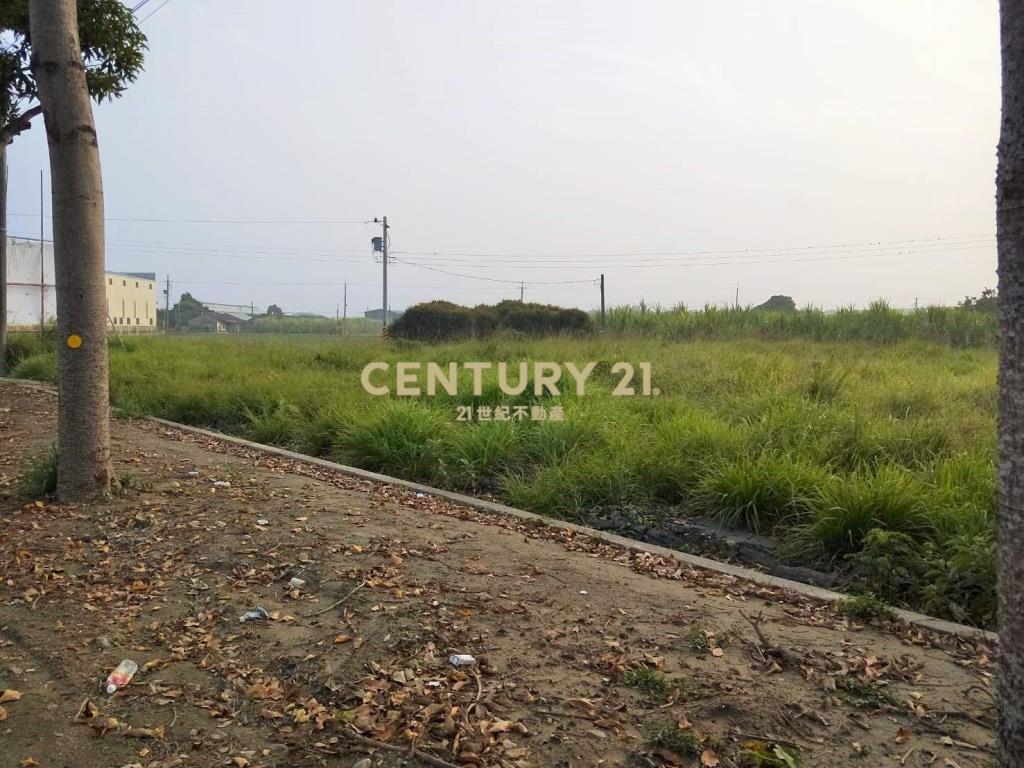 雲林虎尾廉使段768農地