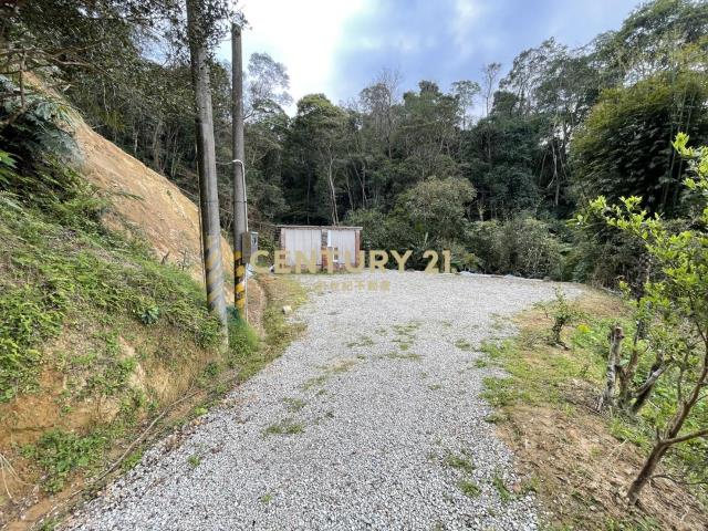 三峽區超平坦近百坪丙建+林地有水電
