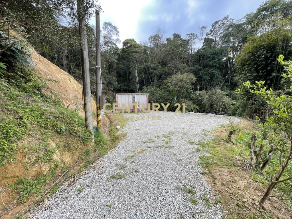 三峽區超平坦近百坪丙建+林地有水電