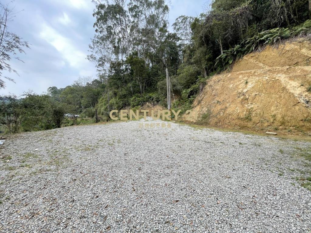 三峽區超平坦近百坪丙建+林地有水電