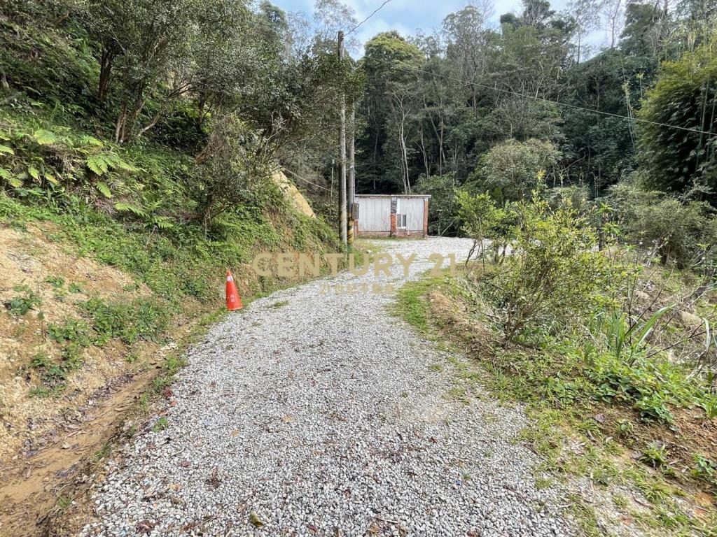 三峽區超平坦近百坪丙建+林地有水電