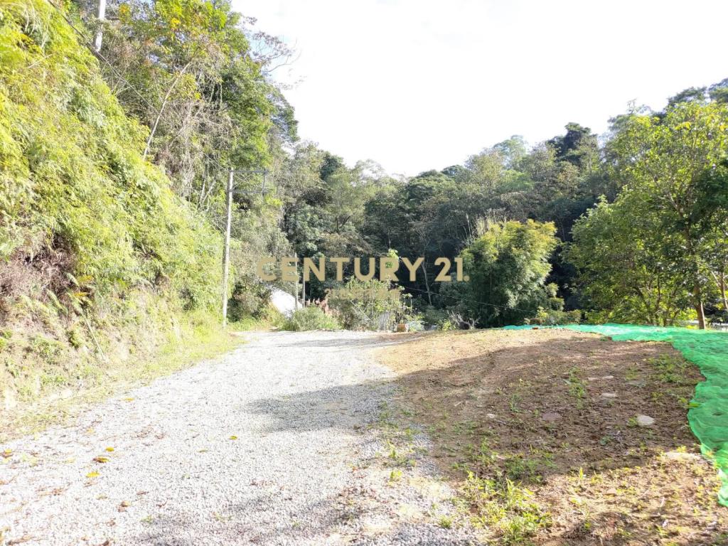 三峽區超平坦近百坪丙建+林地有水電