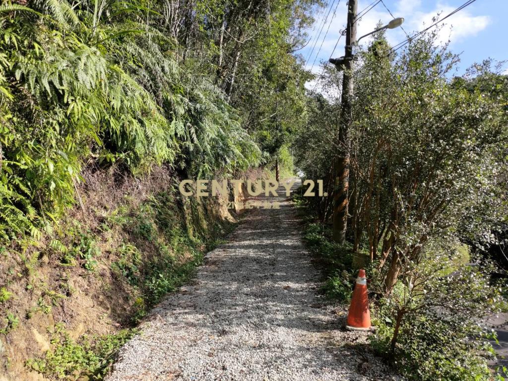 三峽區超平坦近百坪丙建+林地有水電