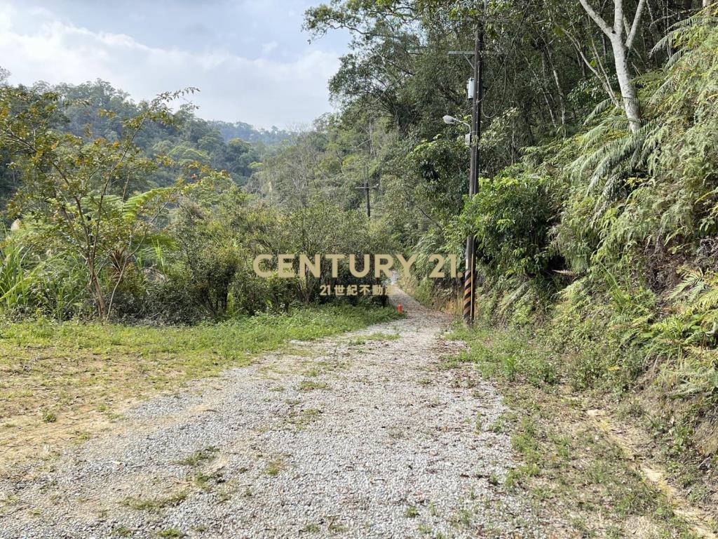 三峽區超平坦近百坪丙建+林地有水電