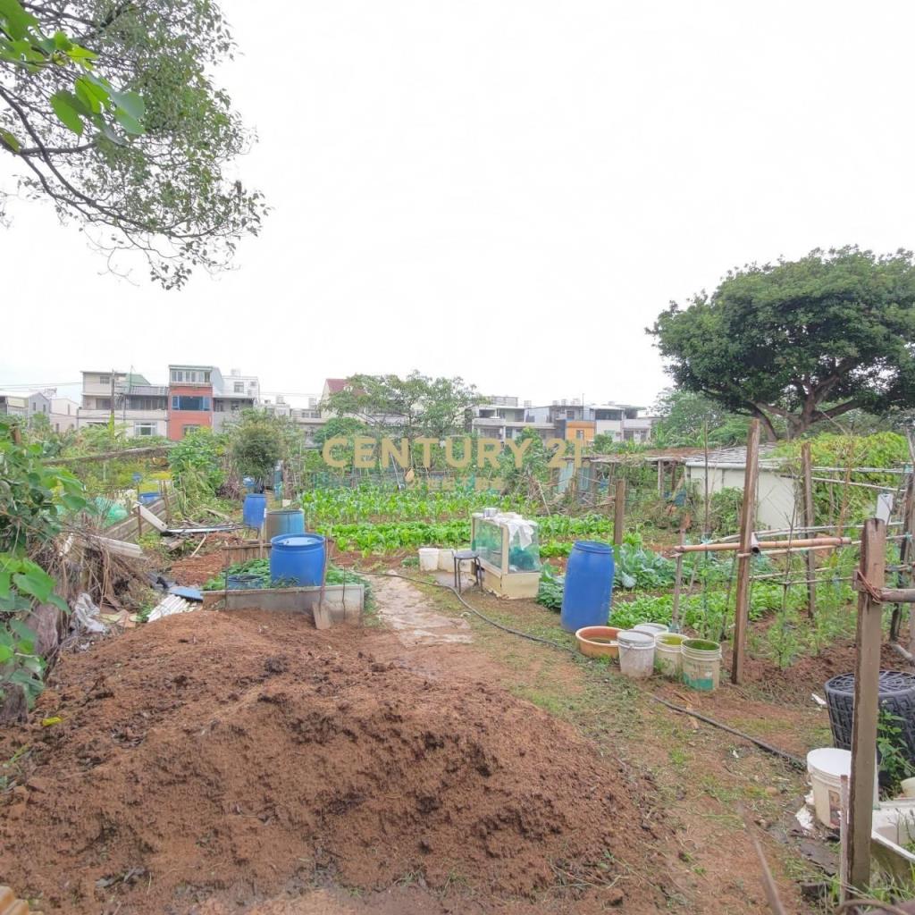 桃園龍潭稀有平坦農地